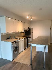 1 BEDROOM   1 STUDY CONDO FOR RENT AT SHEPPARD/LESLIE - Photo 4