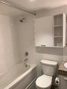 1 BEDROOM   1 STUDY CONDO FOR RENT AT SHEPPARD/LESLIE - Photo 8