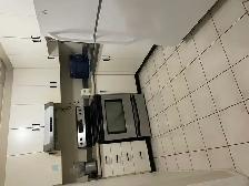 One Bedroom Basement Apartment for Rent - Photo 2