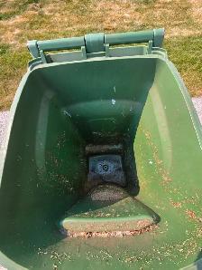 Garbage Bin Cleaning Service – THE HAMPTONS ONLY (Age 9) - Photo 2