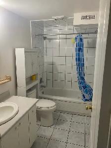 Basement for Rent - Photo 5