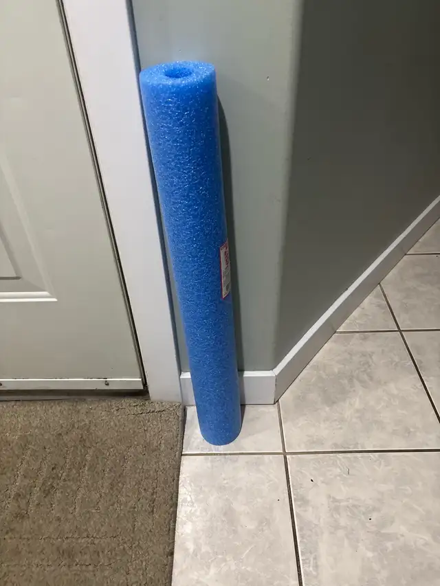 FREE - 2 foot pool noodle