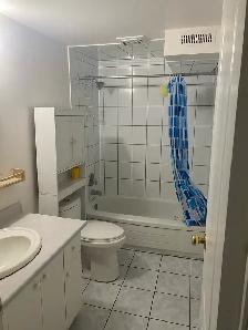 Basement for Rent - Photo 4