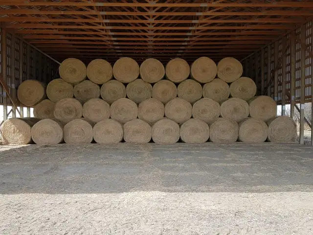 1st Cut Alfalfa Hay for Sale