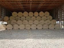 1st Cut Alfalfa Hay for Sale
