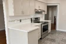 Beautiful 3 Bedroom End-Unit Townhouse Silver City Location - Photo 7