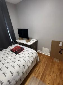Room rent near Algonquin college(Walking distance, Female only) - Photo 10