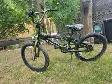 (Supercycle CAMO)