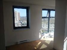 Large room for rent in 3-bed apartment, downtown views - Photo 2