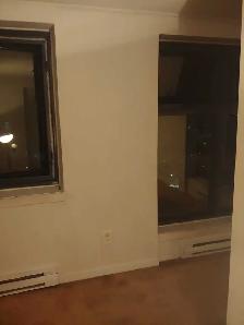 Large room for rent in 3-bed apartment, downtown views - Photo 8