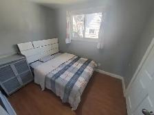 233 Pierre full house-Available immediately - Photo 9