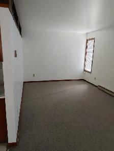 1 Bedroom Apartment Near B.U. - Clean and Available Anytime