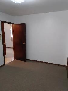 1 Bedroom Apartment Near B.U. - Clean and Available Anytime - Photo 2