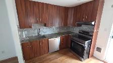 Maison de ville-Pie IX Beaubien a louer/Townhouse - Photo 2