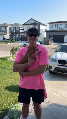 Window Cleaning Saskatoon - Streak Free - Free Quotes - Local - Photo 3