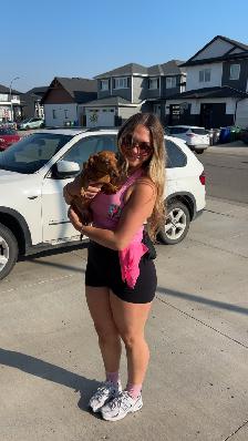 Window Cleaning Saskatoon - Streak Free - Free Quotes - Local - Photo 4
