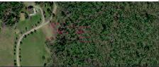 Manigotagan - Property For Sale - Photo 4