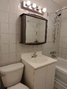 Logement à louer 41/2 semi-meublé, Plateau, Brébeuf-Mt-Royal - Photo 3