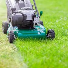 Grass cutting $15 and eavestrough cleaning $25