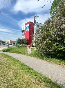 MasterRoom w Private Bathroom - 4 min walk to Lions Park ctrain - Photo 9