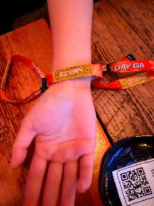 Veld Wristbands for Sunday