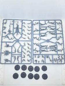 Warhammer 40k Daemonettes of Slaanesh NoS