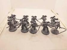 Warhammer 40k 10 Emperor's Children Tormentors Primed Gray