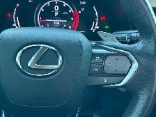 2023 Lexus RX 350 F-Sport 2 - Photo 19