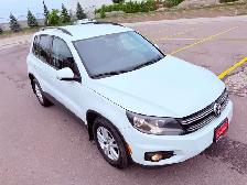 2014 Volkswagen Tiguan 4-Motion - Photo 4