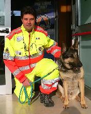 Dog Sitting /Dog Boarding /Dog Kennel /Dog Sitter /Pet Sitting - Photo 2