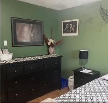 Room Available Immediately 5 Mins To Darlington OPG Plant - Photo 3
