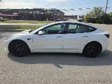 2023 Tesla Model 3 LONG RANGE | AWD | CLEAN CARFAX | NO ACCIDENT - Photo 3