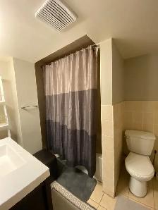 Furnished Basement for Lease(Two Bedrooms) - Photo 8