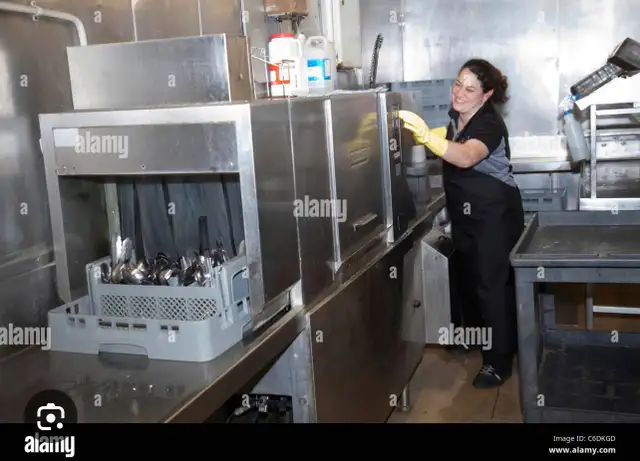 dishwasher worker