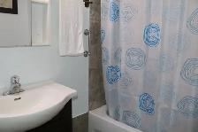 Shared or Private bedroom ($525) - Photo 7