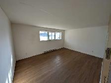 2 bedroom lower level apartment
