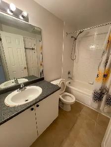 3 1 Bedroom with an In-Law Suite Entire House for Rent In Barrie - Photo 6