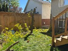tree services and tree removal - Photo 2