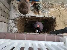 ROUGH IN WASHROOM DRAIN SNAKE WATERPROOFING WET BASEMENT FLOOR - Photo 6
