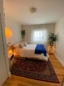 Métro Pie-IX, Hochelaga, 41/2, 1 275$ - Photo 9