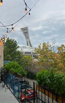 Métro Pie-IX, Hochelaga, 41/2, 1 275$ - Photo 10