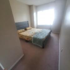 Room for rent - Photo 4