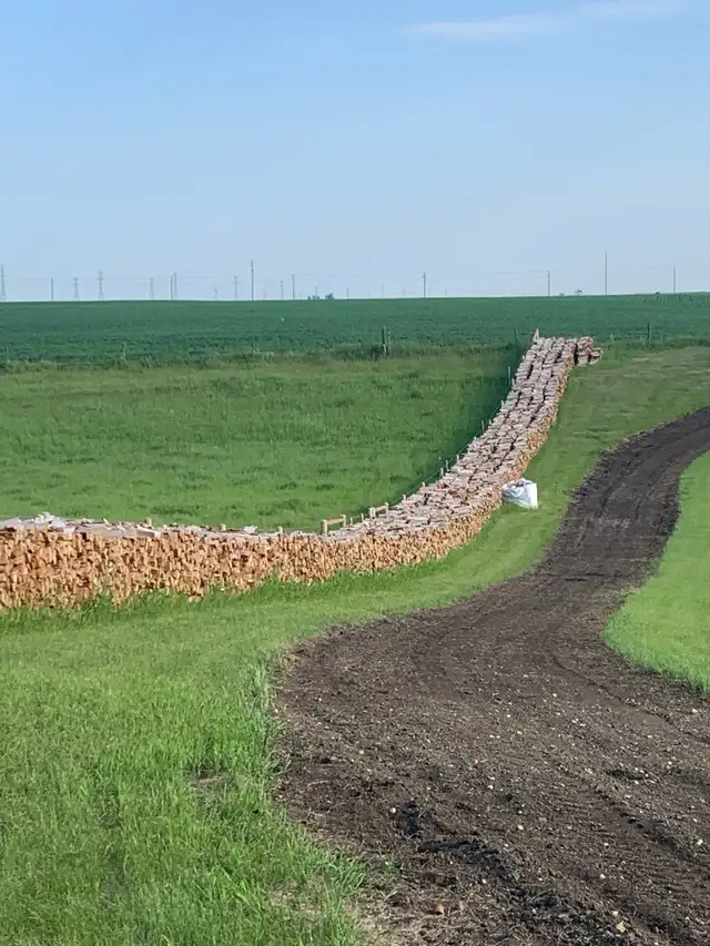 Dry Birch Firewood/ Free Delivery