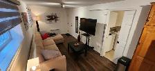 ROSEMONT – Dispo MAINTENANT – TOUT CECI MEUBLÉ- Neuf 3 1/2 - Photo 3
