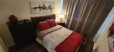 ROSEMONT – Dispo MAINTENANT – TOUT CECI MEUBLÉ- Neuf 3 1/2 - Photo 6