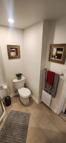ROSEMONT – Dispo MAINTENANT – TOUT CECI MEUBLÉ- Neuf 3 1/2 - Photo 9