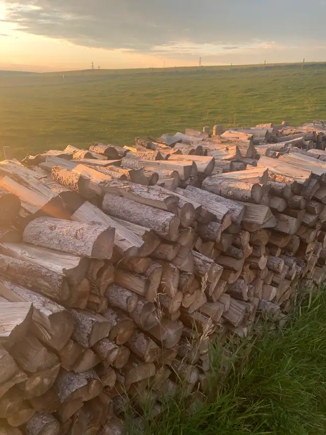 seasoned Tamarack Firewood/ Free Delivery