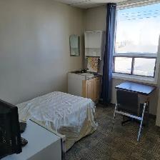 Furnished Large bachelor- all utilities included-pet friendly - Photo 5