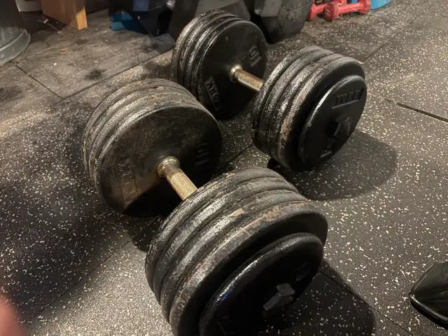 95lbs York steel dumbbells