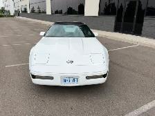 1994 Corvette LT1 Targa Top $9000 - Photo 9